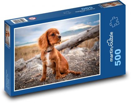 Pes, štěně - Puzzle 500 dílků, rozměr 46x30 cm