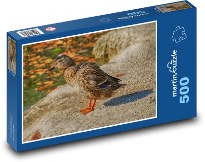 kačica divá - Puzzle 500 dielikov, rozmer 46x30 cm 