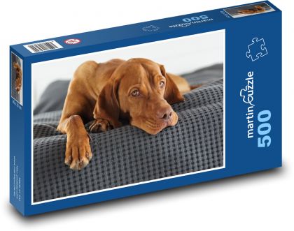 Hungarian Shorthaired Pointer - Puzzle of 500 pieces, size 46x30 cm 