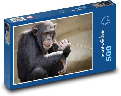 Šimpanz učenlivý - Puzzle 500 dílků, rozměr 46x30 cm