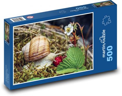 Garden snail - Puzzle of 500 pieces, size 46x30 cm 