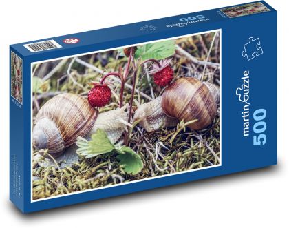 Snail, strawberry - Puzzle of 500 pieces, size 46x30 cm 