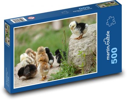 Kurča, kuriatka - Puzzle 500 dielikov, rozmer 46x30 cm 