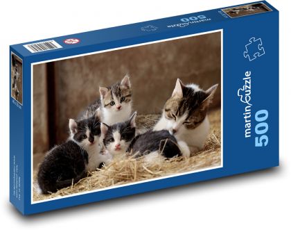 Mladé kočky - Puzzle 500 dílků, rozměr 46x30 cm