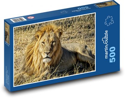 Animal - Lion - Puzzle of 500 pieces, size 46x30 cm 