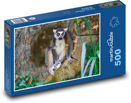 Zvíře - lemur - Puzzle 500 dílků, rozměr 46x30 cm