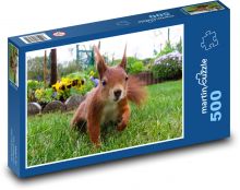 Veverka na zahradě Puzzle 500 dílků - 46 x 30 cm