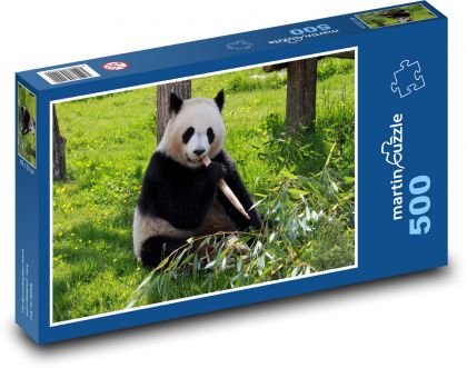 Panda velká v trávě - puzzle 500 dílků