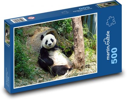 Medvídek - Panda  - Puzzle 500 dílků, rozměr 46x30 cm