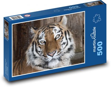 Tygr, zvíře - Puzzle 500 dílků, rozměr 46x30 cm