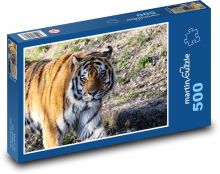 The beast - the tiger Puzzle of 500 pieces - 46 x 30 cm 