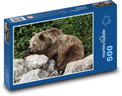 Zvíře - Medvěd hnědý - Puzzle 500 dílků, rozměr 46x30 cm