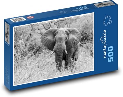 Slon Africký - Puzzle 500 dílků, rozměr 46x30 cm