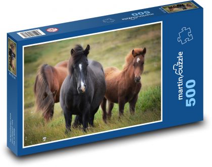 Icelandic horse, herd - Puzzle of 500 pieces, size 46x30 cm 