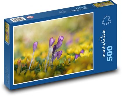 Krokus - kvet, príroda - Puzzle 500 dielikov, rozmer 46x30 cm 