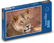 Levice - Afrika, zviera Puzzle 500 dielikov - 46 x 30 cm 
