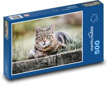 Cat - tabby, animal Puzzle of 500 pieces - 46 x 30 cm