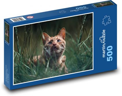 Kočka - zvíře, kocourek - puzzle 500 dílků