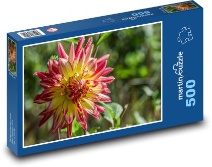 Jiřina - květina, podzim - Puzzle 500 dílků, rozměr 46x30 cm