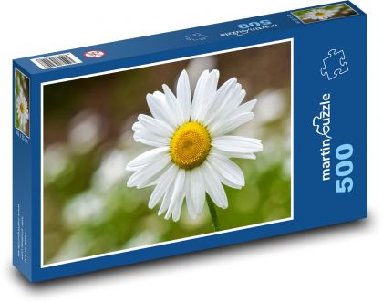 Heřmánek - květina, jaro - Puzzle 500 dílků, rozměr 46x30 cm
