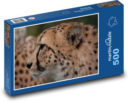 Gepard - šelma, zvíře - Puzzle 500 dílků, rozměr 46x30 cm