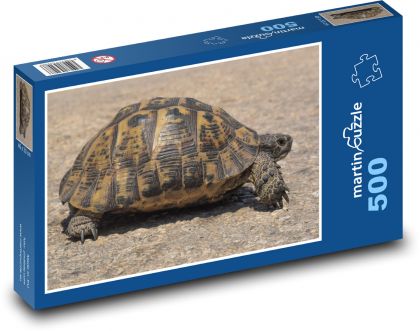 Schildkröte - Reptil, Tier - Puzzle - 500 Teile