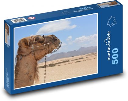 Camel - desert, animal - Puzzle of 500 pieces, size 46x30 cm 