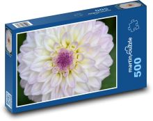 Biele dahlia Puzzle 500 dielikov - 46 x 30 cm 