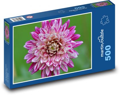 Lila Dahlien - Puzzle - 500 Teile