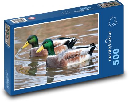 Káčer - vtáky, voda - Puzzle 500 dielikov, rozmer 46x30 cm 