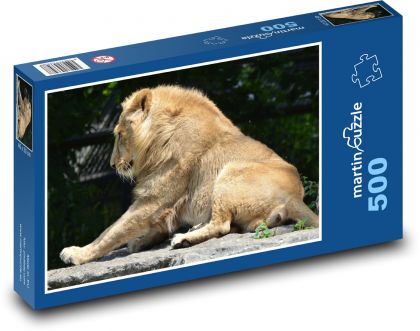 Lev - kočka, savec - Puzzle 500 dílků, rozměr 46x30 cm