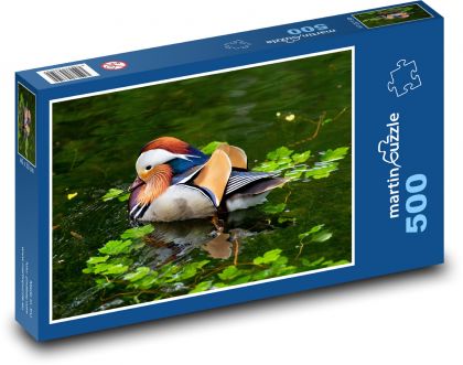 Kachna - vodní pták, zvíře - Puzzle 500 dílků, rozměr 46x30 cm