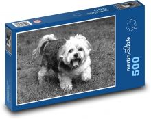 Malý pejsek na trávě Puzzle 500 dílků - 46 x 30 cm