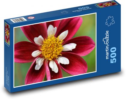 Jiřina - červená, květina - Puzzle 500 dílků, rozměr 46x30 cm