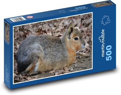 Hare - Patagonian, rodent - Puzzle of 500 pieces, size 46x30 cm 