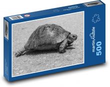 Żółw w drodze Puzzle 500 elementów - 46x30 cm