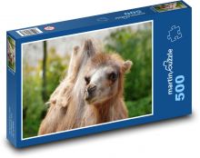 Velbloud - zvíře, savec Puzzle 500 dílků - 46 x 30 cm