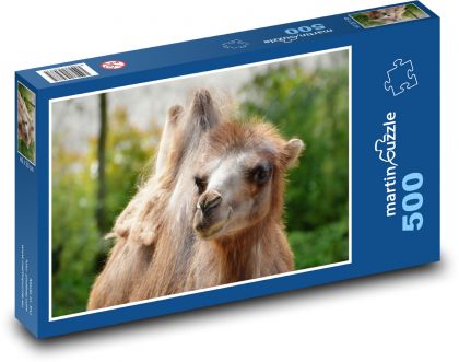 Velbloud - zvíře, savec - Puzzle 500 dílků, rozměr 46x30 cm