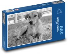 Pes - cicavec, zviera Puzzle 500 dielikov - 46 x 30 cm 