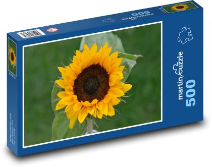 Slunečnice - květ, žlutá - Puzzle 500 dílků, rozměr 46x30 cm