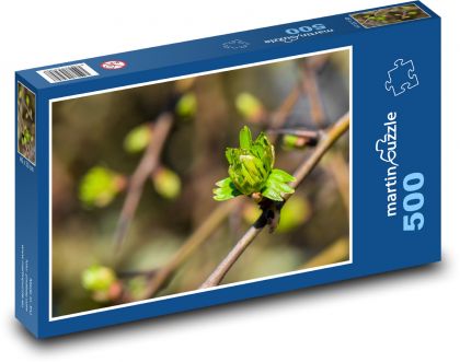 Pąki sprężynowe na gałązce - Puzzle 500 elementów, rozmiar 46x30 cm