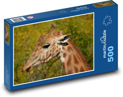 Žirafia hlava - Puzzle 500 dielikov, rozmer 46x30 cm 