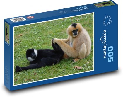 Gibon, małpa - Puzzle 500 elementów, rozmiar 46x30 cm