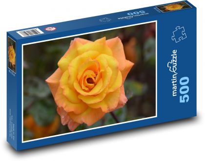 Růže - žlutá, květ - Puzzle 500 dílků, rozměr 46x30 cm