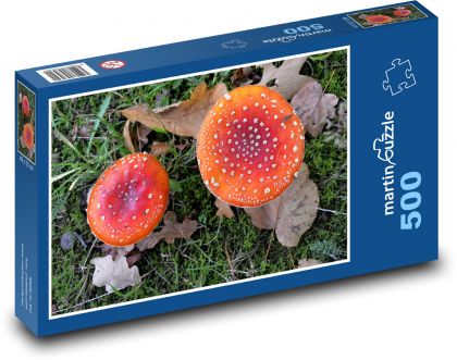 Mochomůrka - houby, podzim - Puzzle 500 dílků, rozměr 46x30 cm