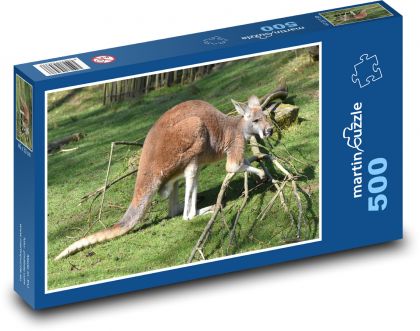 Kangur - ssak, zwierzę - Puzzle 500 elementów, rozmiar 46x30 cm