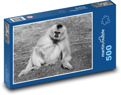 Gibbon - monkey, mammal - Puzzle of 500 pieces, size 46x30 cm 