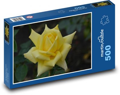 Růže květ, žlutá - puzzle 500 dílků