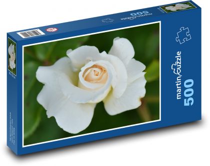 Růže - květ, bílá - Puzzle 500 dílků, rozměr 46x30 cm