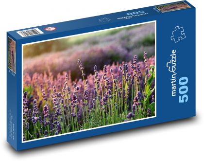 Lavender - field, flower - Puzzle of 500 pieces, size 46x30 cm 